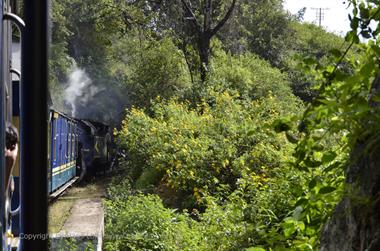 Nilgiri-Blue-Mountain-Train, Mettupalayam - Coonoor_DSC5409_H600